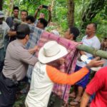 Pemancing di Jiput ‘Sawan’ Temukan Pemuda Tergantung di Pohon Manggis
