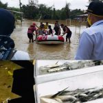 Korban Banjir di Desa Pasir Bolang Tigaraksa Dapat 1 Kwintal Ikan Bandeng