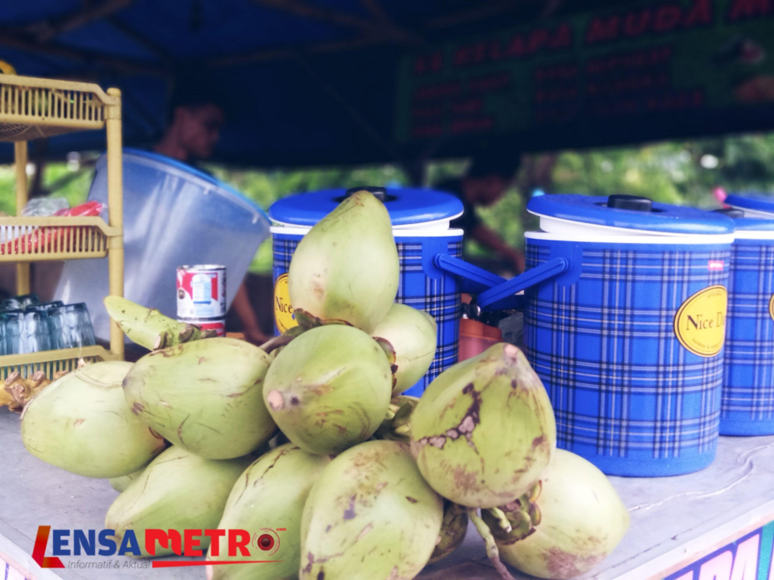 Kelapa Hijau Mulai Langka di Kabupaten Tangerang, Harga Tembus Rp50 Ribu per buah