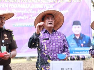 Dorong Ketahanan Pangan, Bupati Tangerang Tanam Jagung Pulut dan Serahkan Bantuan untuk Petani