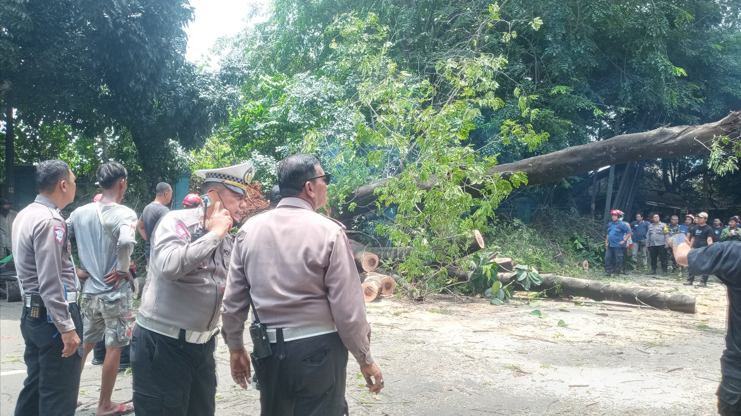 Tertimpa Pohon Tumbang, Tiga Korban di Tangerang Dipastikan Dapat Asuransi