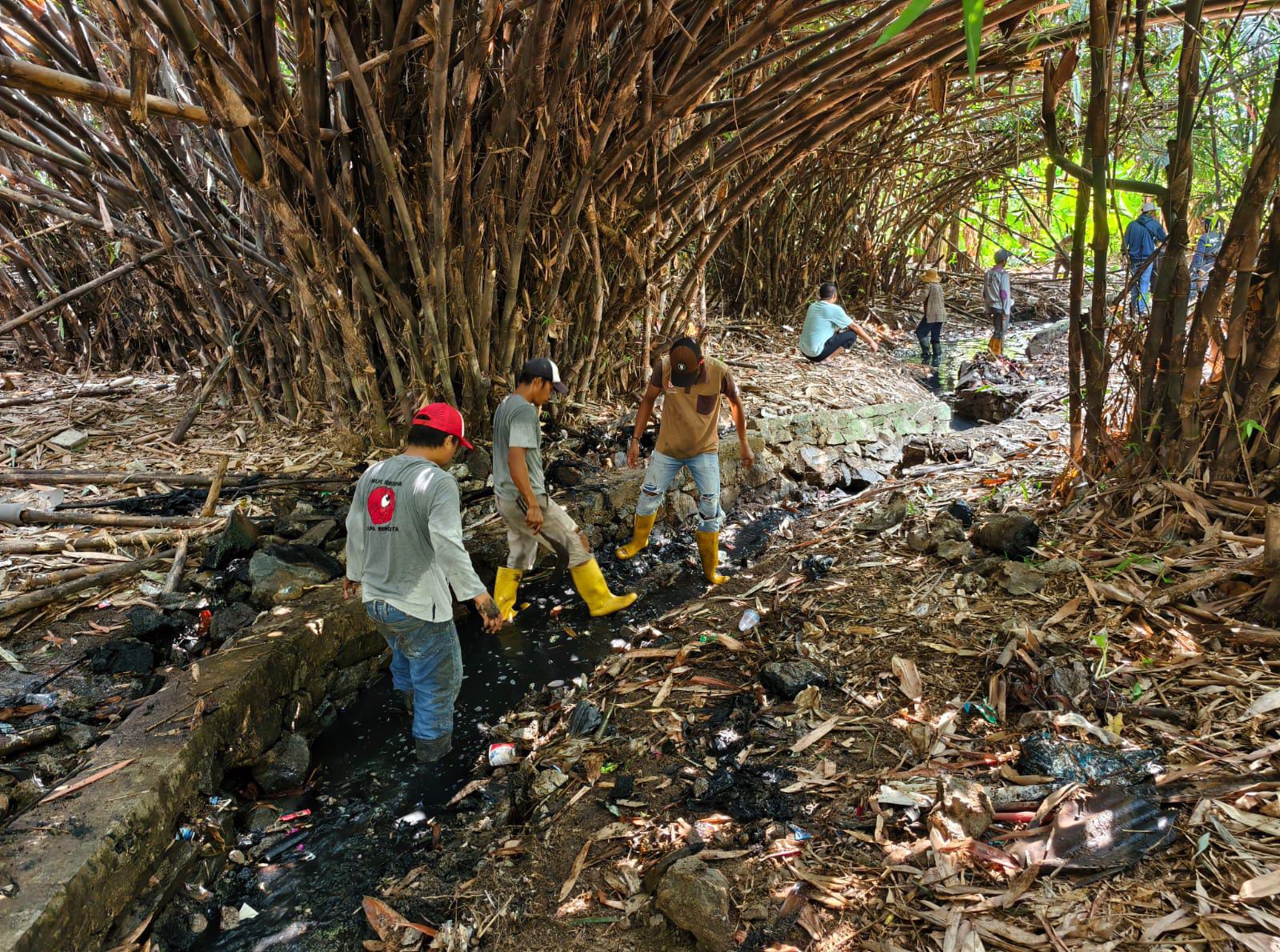 Respons Cepat DBMSDA: Saluran Ciherang Dibersihkan, Turap Rubuh Diangkat