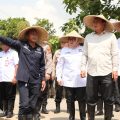 Jagung Hibrida Jadi Andalan, Pemkab Tangerang dan Polresta Dorong Swasembada Pangan