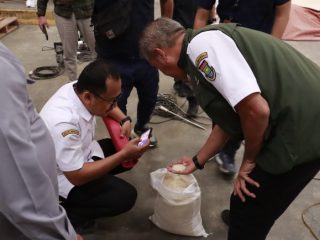 Pastikan Kualitas Beras Bantuan, Bulog dan DPKP Tangerang Lakukan Pemeriksaan Ketat