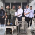 Satwa Dilindungi Hasil Evakuasi BPBD Kabupaten Tangerang Diserahkan ke BKSDA