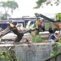 36 Pohon Tumbang Diterjang Hujan Deras, Pemkot Tangerang Bergerak Cepat