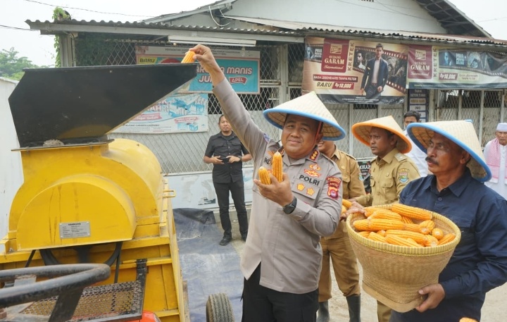 Dukung Swasembada Pangan, Polresta Tangerang Tanam Jagung di Lahan 25 Hektare Dukung Swasembada Pangan, Polresta Tangerang Tanam Jagung di Lahan 25 Hektare