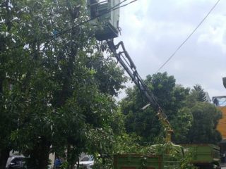 Antisipasi Cuaca Ekstrem, Pemkot Tangerang Pangkas Pohon Rawan Tumbang di Permukiman