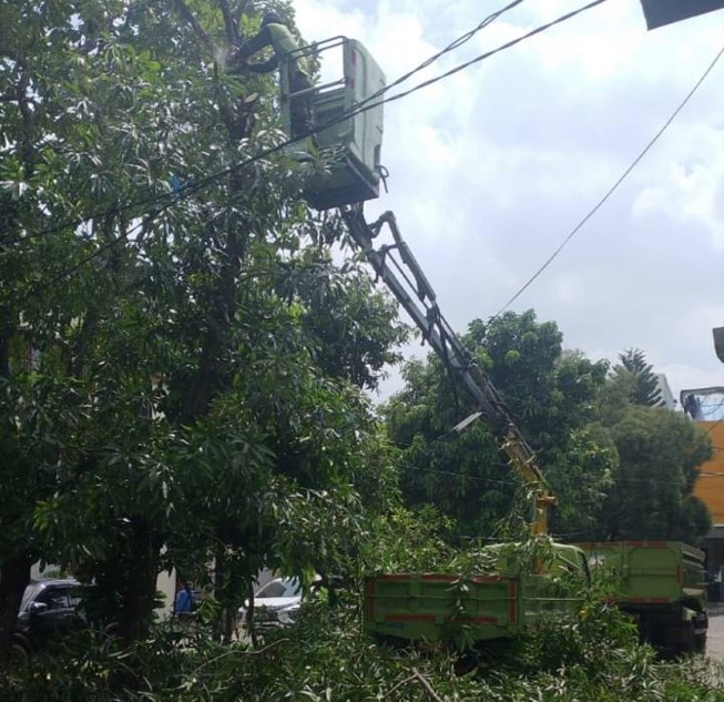 Mobil skylift digunakan petugas pertamanan Dinas Kebudayaan dan Pariwisata Kota Tangerang untuk melakukan pemotongan pohon di Kecamatan Cipondoh, Kota Tangerang, Banten, Rabu (1/10/2025). (Sumber: Disbudpar Kota Tangerang) (SEPTYO FAJAR RIFAI)