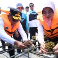 Apartemen Ikan Ditanam di Perairan Carita, Gubernur Banten Dorong Ekonomi Biru