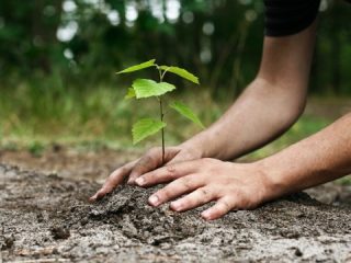 Dinas Lingkungan Hidup Morowali Wujudkan Komitmen Pengelolaan Lingkungan Berkelanjutan
