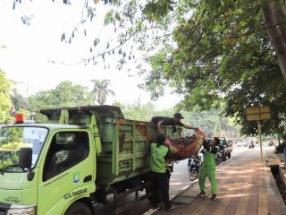 Incar Adipura 2025, Pemkot Tangerang Siap Buktikan Komitmen Lingkungan Bersih dan Berkelanjutan