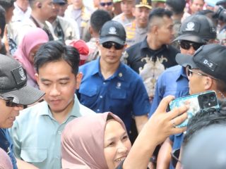 Wapres Gibran Tanam Jagung di Tigaraksa, Warga Membludak