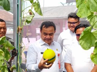 Sekda Soma Atmaja Panen Melon di Melonial Hydrofarm, Apresiasi Semangat Petani Muda