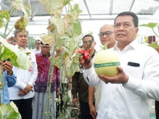 Greenhouse Desa Sodong Jadi Percontohan Ketahanan Pangan, Bupati Tangerang Dorong Replikasi di Desa Lain