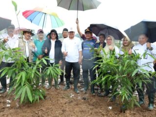 Hutan Bambu Cisoka, Seberapa Serius Pemkab Tangerang Kelola Ruang Publik