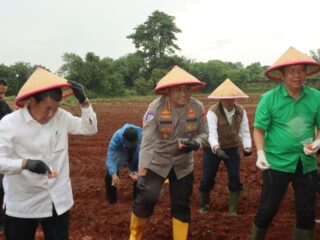 Situasi Global Tidak Menentu, Bupati Tangerang Ajak Optimalkan Lahan untuk Perkuat Kemandirian Pangan