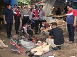Gerebek Judi Sabung Ayam di Jayanti, Polisi Amankan Dua Orang dan 28 Unit Motor