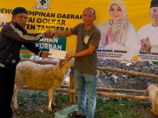 Golkar Kabupaten Tangerang Bagikan 29 Ekor Kambing untuk PK Jelang Iduladha