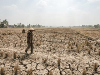 El Nino Ancam 15 Kecamatan di Kabupaten Tangerang, Ribuan Hektare Sawah Berisiko Kekeringan